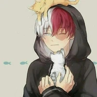shoto todoroki