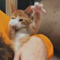 แอดเอง🥺
