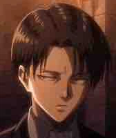 Levi 