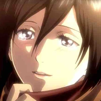 Mikasa 