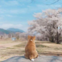 แอดเอง