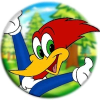 Pajaro Carpintero