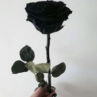 AD {Author}