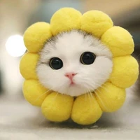 แอดเองจ้า
