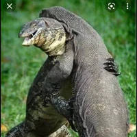 แอด