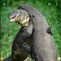แอด