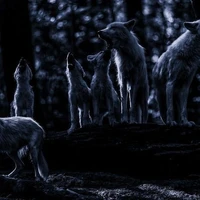 Werewolves