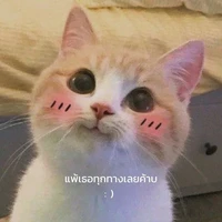 แอดเองค่ะ