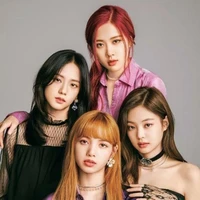 all member black pink