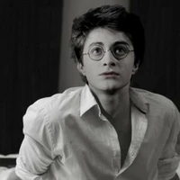 ˚˙˚ᵕ̈•{Harry Potter}•ᵕ̈˚˙˚