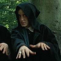 ꕥᵕ̈•{Draco Malfoy}•ᵕ̈ꕥ