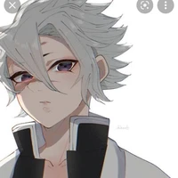 ชินาสึกาวะ ซาเนมิ