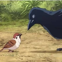 อีกาสื่อสาร