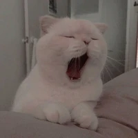 แอดเอง
