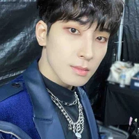 Wonwoo