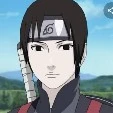 sai
