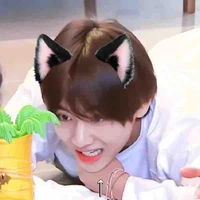 ดาวเหนือ🐯