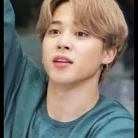 kim jimin (J)
