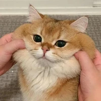 แอด