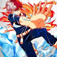 Shoto Todoroki