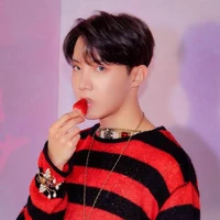 Jung Hoseok ( J- hope)