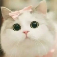 นาริ(มานี้เน็ต-ร่างเเมว