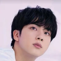 kim seokjin