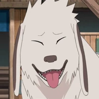 akamaru