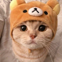 kitty