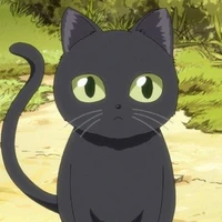 Kitty