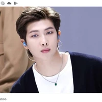 kim Namjoon/Rm
