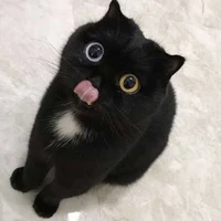 Blacky