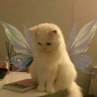 แอดดด