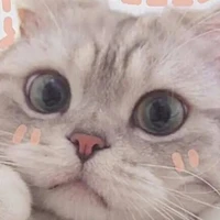 เมพ