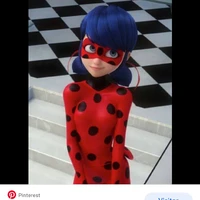 Ladybug