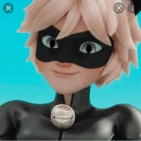 Cat Noir