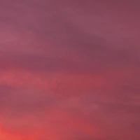 ALL