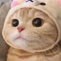 แอดเองจร้าา