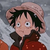 Luffy 15 anos