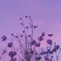 เเอดเอง