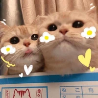 Jujubinha~♡