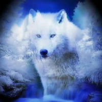 Author S1R2ENIX(Eun-Ji