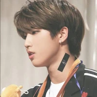 Han Jisung