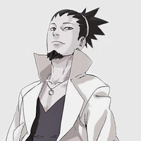 Shikamaru [36 años]