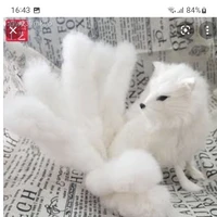 ฟ็อก(สัตว์เลี้ยงนางเอก)