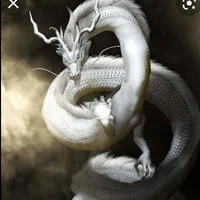 มังกร🐉