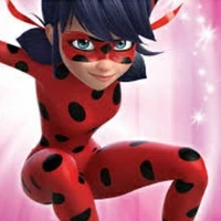 Ladybug