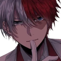 todoroki shoto