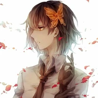 akika(alfa)