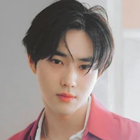 Suho Anderlecht